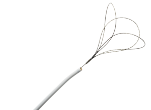 EN Snare Endovascular Snare System