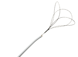EN Snare Endovascular Snare System