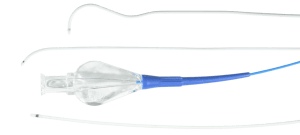 Merit Maestro® Microcatheters