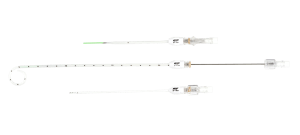Valved One-Step Centesis Catheters