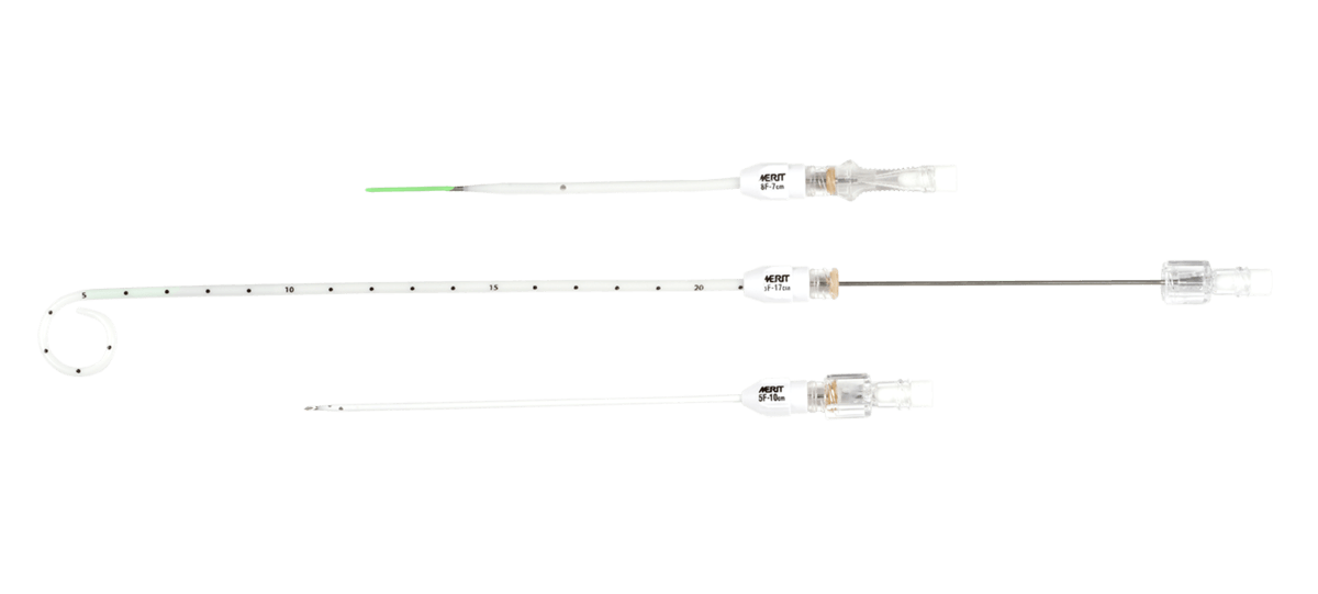 Valved One-Step Centesis Catheters