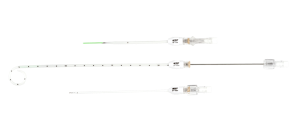 Valved One-Step Centesis Catheters