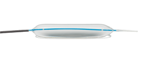 Elation3 Fixed Wire Dilation Balloon - Merit Medical - Endotek