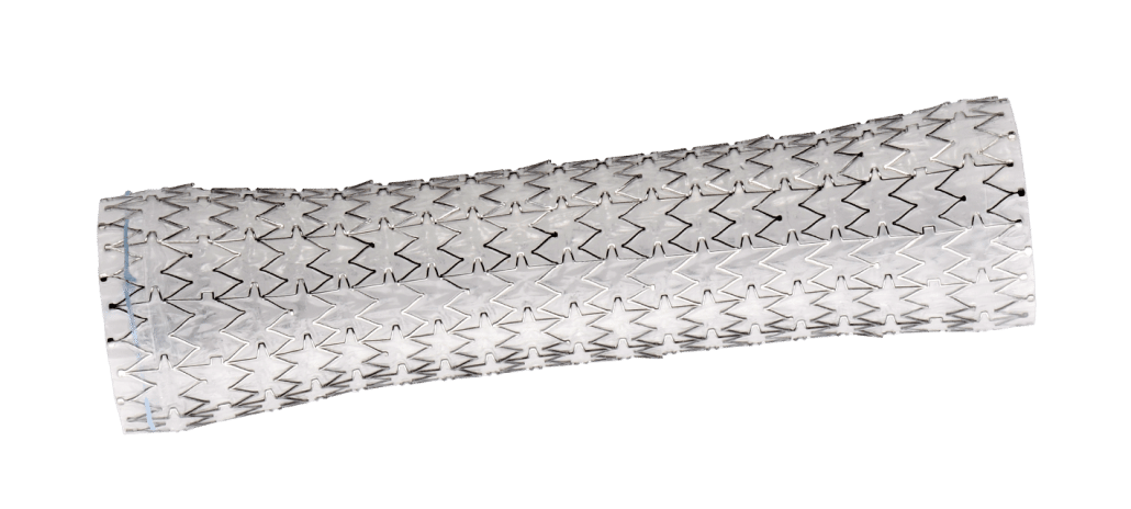 AliMAXX-ES Fully Covered Esophageal Stent
