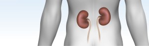 Dialysis Access