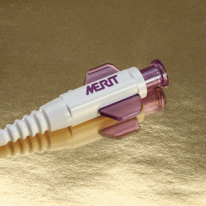Catheter Hub