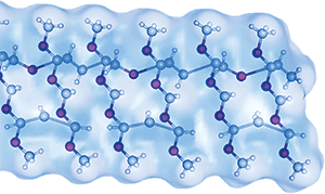 Durability and Lubricity