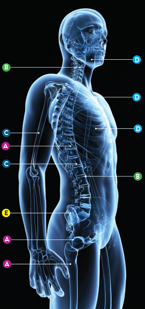 Sistemas de biópsia óssea da Merit Medical Systems, Inc