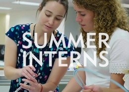SummerInterns-520x370