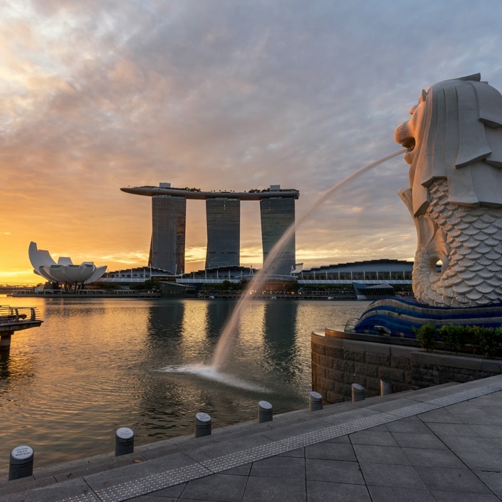 Singapore Medical Devices Merit Medical