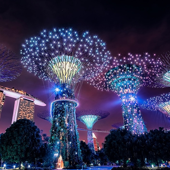 Singapore Medical Devices Merit Medical