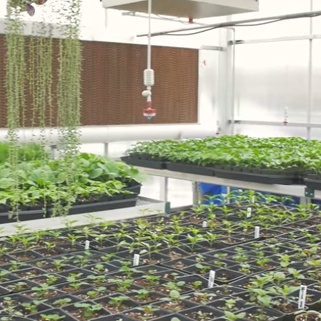 Salt Lake City, Utah Medical Devices Merit Medical