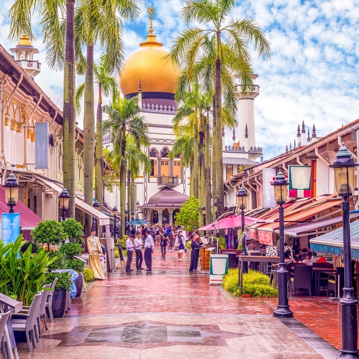 Singapore Medical Devices Merit Medical