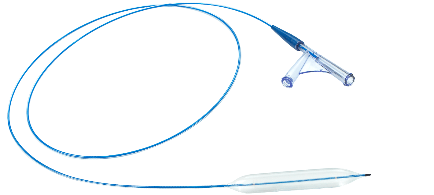 Advocate PTA Catheter Entire Catheter Inflated