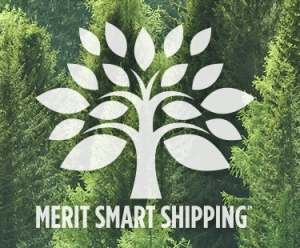 Merit Medical - 2019 Green Business Award - Utah Business - Environmental Sustainability