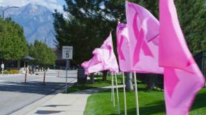 Breast Cancer Awareness Month - 2019 - Merit Supports BCAM - Partnering with BreastCancer.org