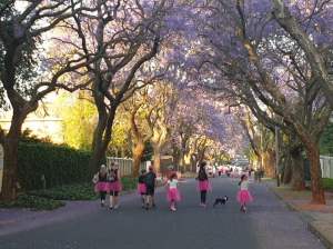 South Africa Breast Cancer Walk