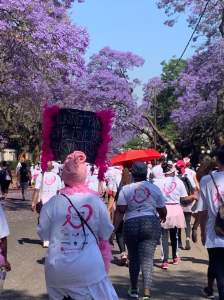 South Africa Breast Cancer Walk