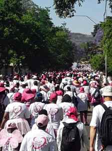 South Africa Breast Cancer Walk