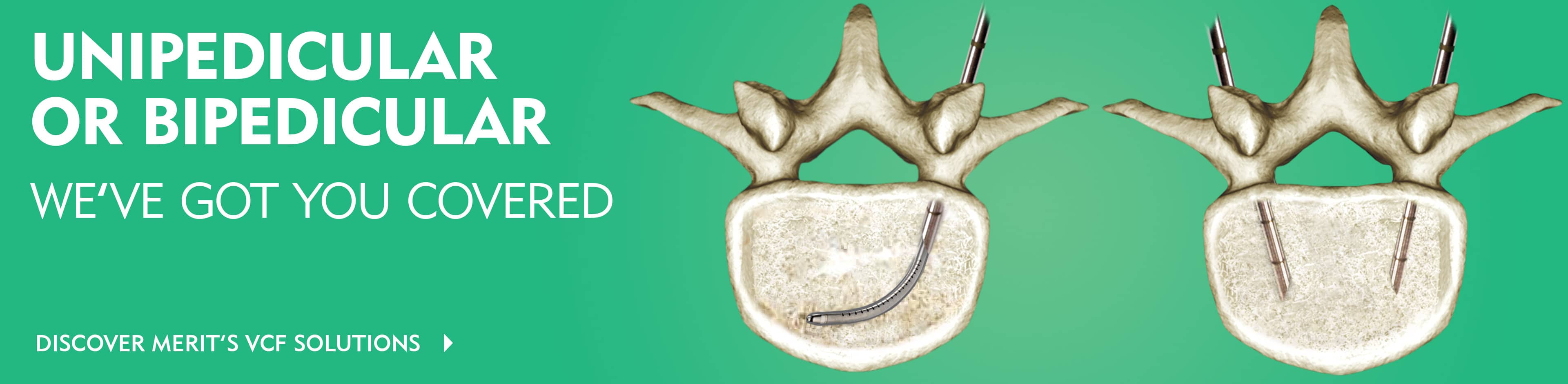 Merit Medical A Global Leader in the Medical Device Industry