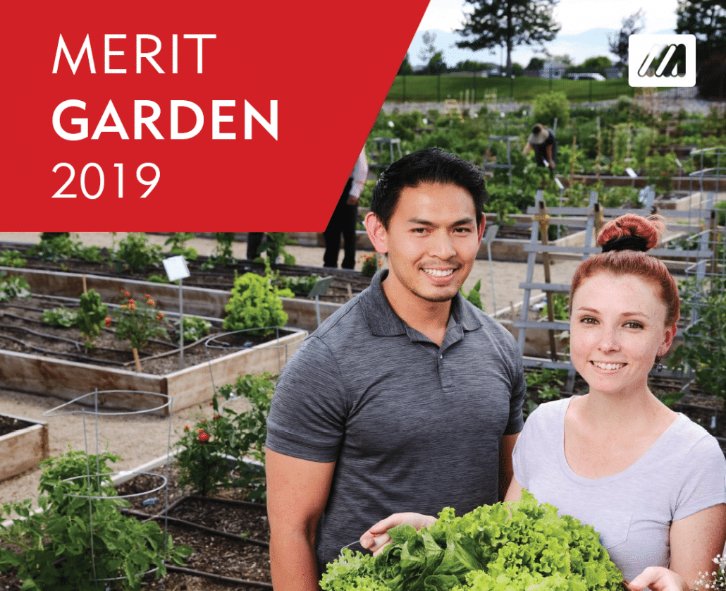 Merit Medical Garden 2019 Accomplishments - Employee Experience