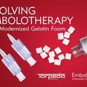 Evolving Embolotherapy at Merit with Modernized Gelatin Foam - Understand. Innovate. Deliver.