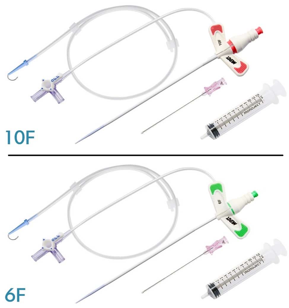 Prelude SNAP Hydrophilic Sheath Kit - 10F and 6F components