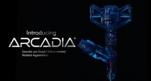 INTRODUCING THE ARCADIA