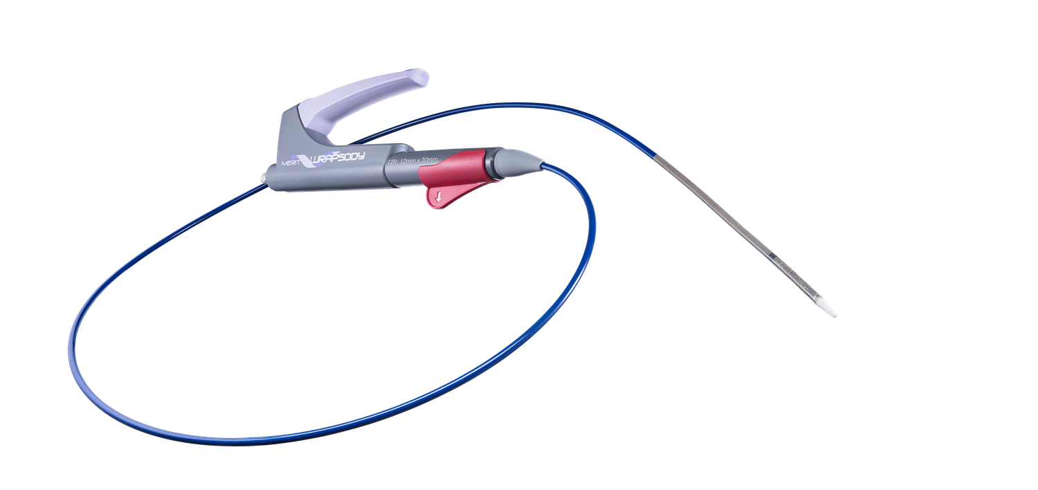 Merit WRAPSODY™ Endoprosthesis Merit Medical