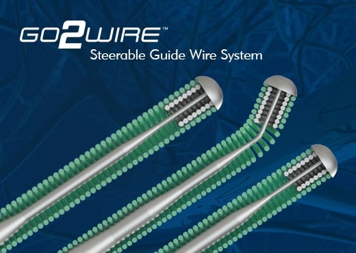 Go2Wire Steerable Guide Wire System