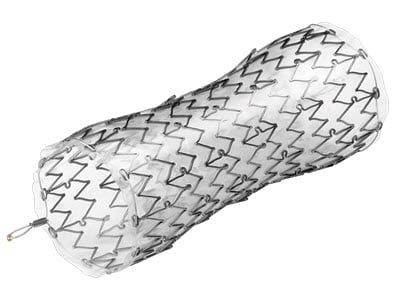 EndoMAXX Esophageal Stent