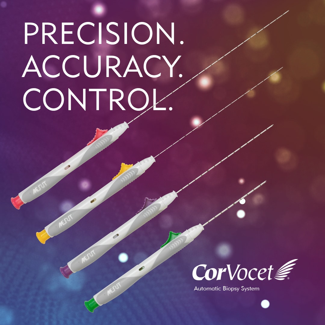 Merit Medical A Global Leader in the Medical Device Industry