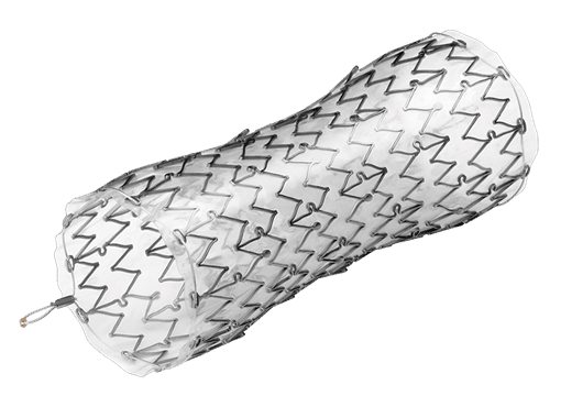 EndoMAXX