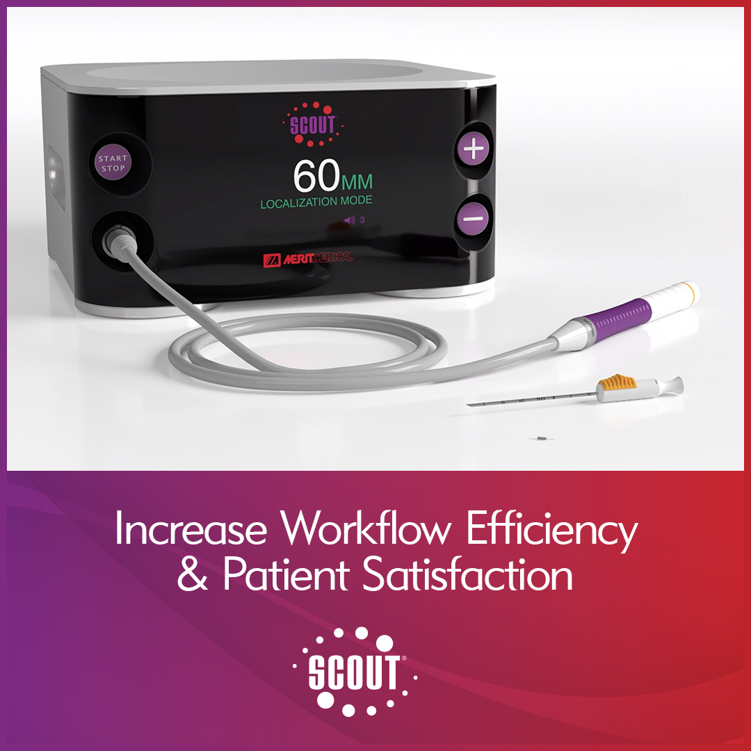 Merit Medical A Global Leader in the Medical Device Industry