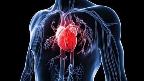 Heart Attack - Men's Health Month