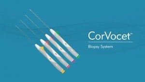 INTRODUCTION TO THE CORVOCET SYSTEM