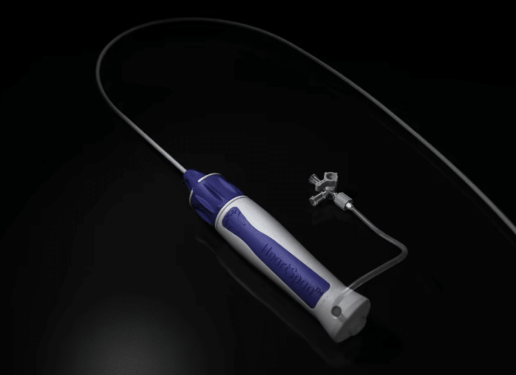 HeartSpan Steerable Sheath