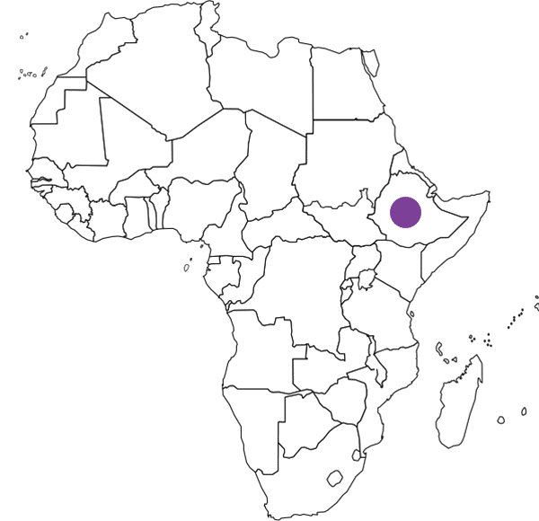 Boston Cardiac Foundation – Ethiopia