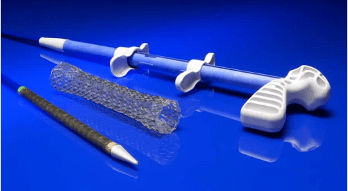 EndoMAXX Esophageal Stent