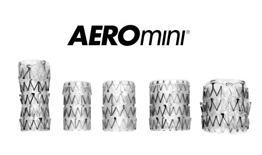 AEROMINI TRACHEOBRONCHIAL STENT [IN-SERVICE]