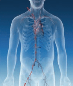 Image of full access entry point on patient