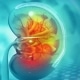 Merit Medical Recognizes National Kidney Month