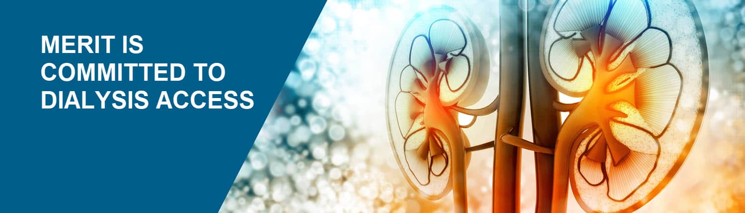 Merit is committed to dialysis access - picture of kidneys on colorful background