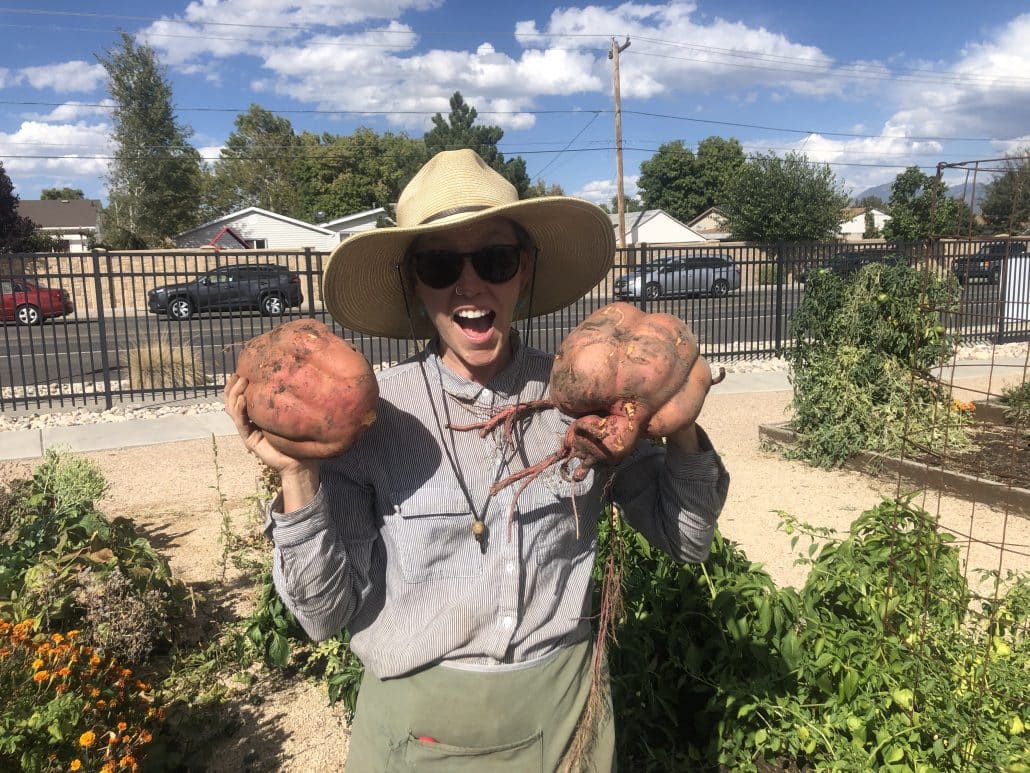 Image shows Laura Flower, Director of Merit Gardens, holding two large sweet potatoes