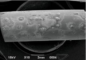 Image of Palindrome H catheter under SEM imaging at 10x magnification
