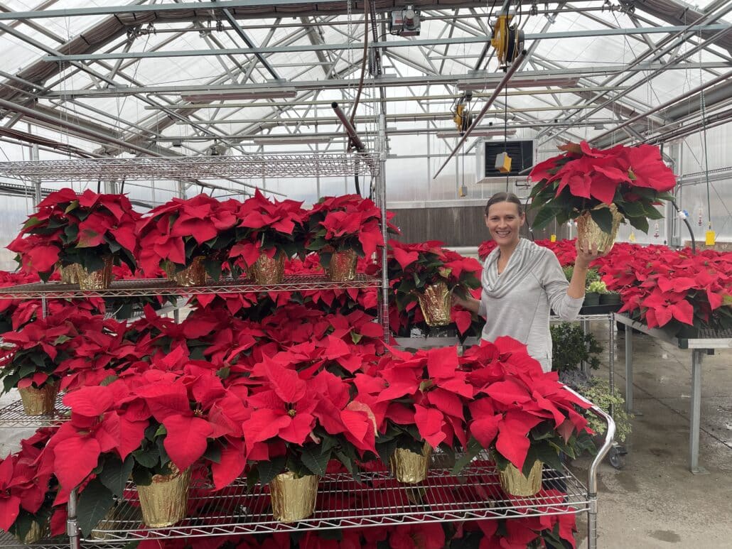 A Merit employee standing with the poinsettias to be sold for the Candy Cane Giving Back program
