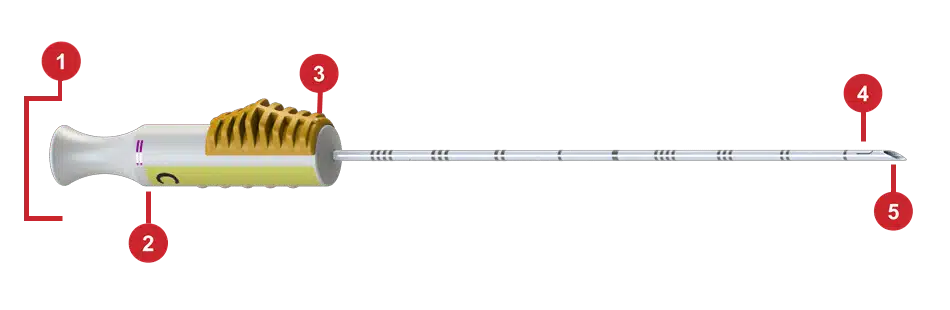 Image showing the SCOUT MD Delivery System with feature callouts