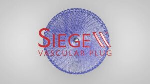 Siege Vascular Plug Animation