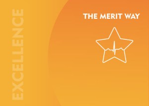 Excellence is The Merit Way