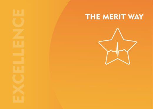 Excellence is The Merit Way